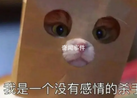 一無(wú)是畜是什么梗 一無(wú)是畜是什么意思